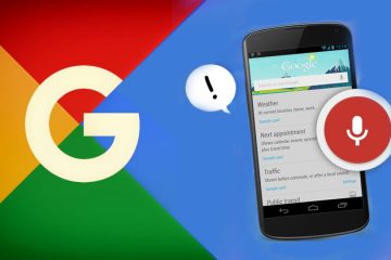 Posizionamento su Google Local Services